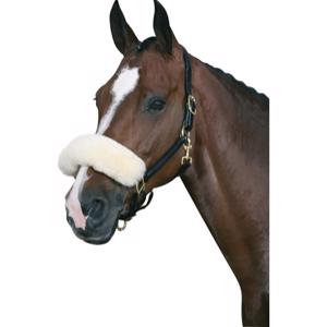 Næsebeskytter til heste